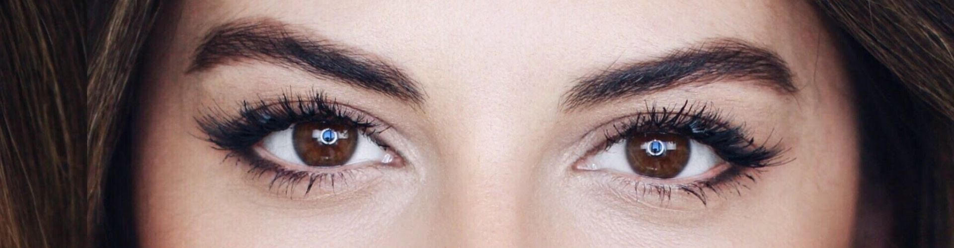 Fox Eye